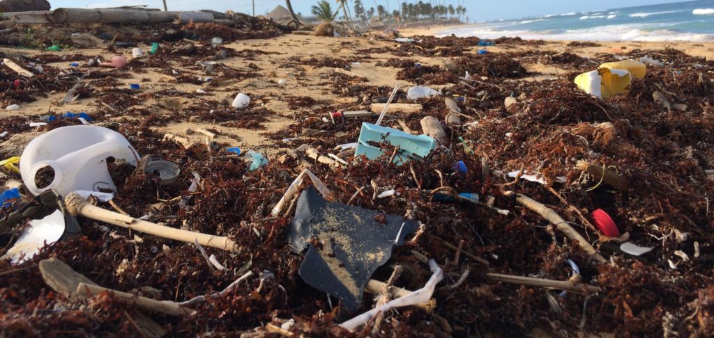 echo asia coastal clean up plastic waste sustainability csr environmental friendly